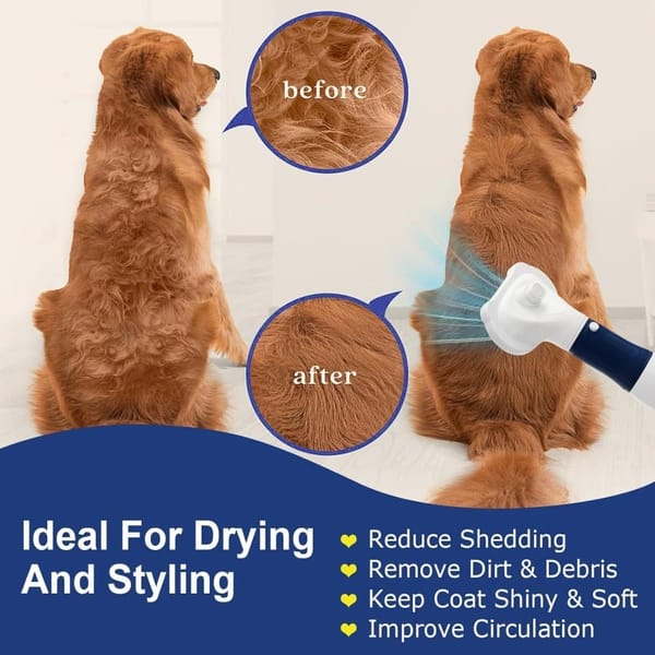 Pet Hair Dryer 3-in-1 with Brush, Portable Quiet Dog Cat Grooming Tool, 3 Heat Settings Overheat Protection, Blue
