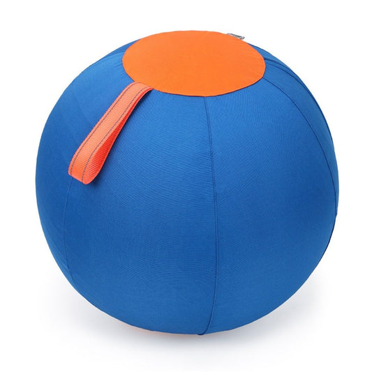 Herding Ball for Dogs, 18 Large Ball Interactive Dog Toys for Medium & Large Dogs