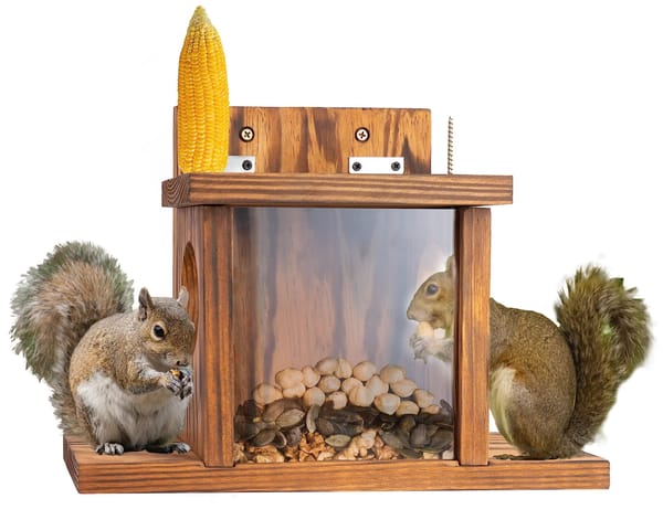 Wood Squirrel Feeder, Squirrel Feeders for Outside Winter, Wooden Chipmunk Feeder for Corn, Peanuts, Durable Box Easy to Fill with Removable Front Panel