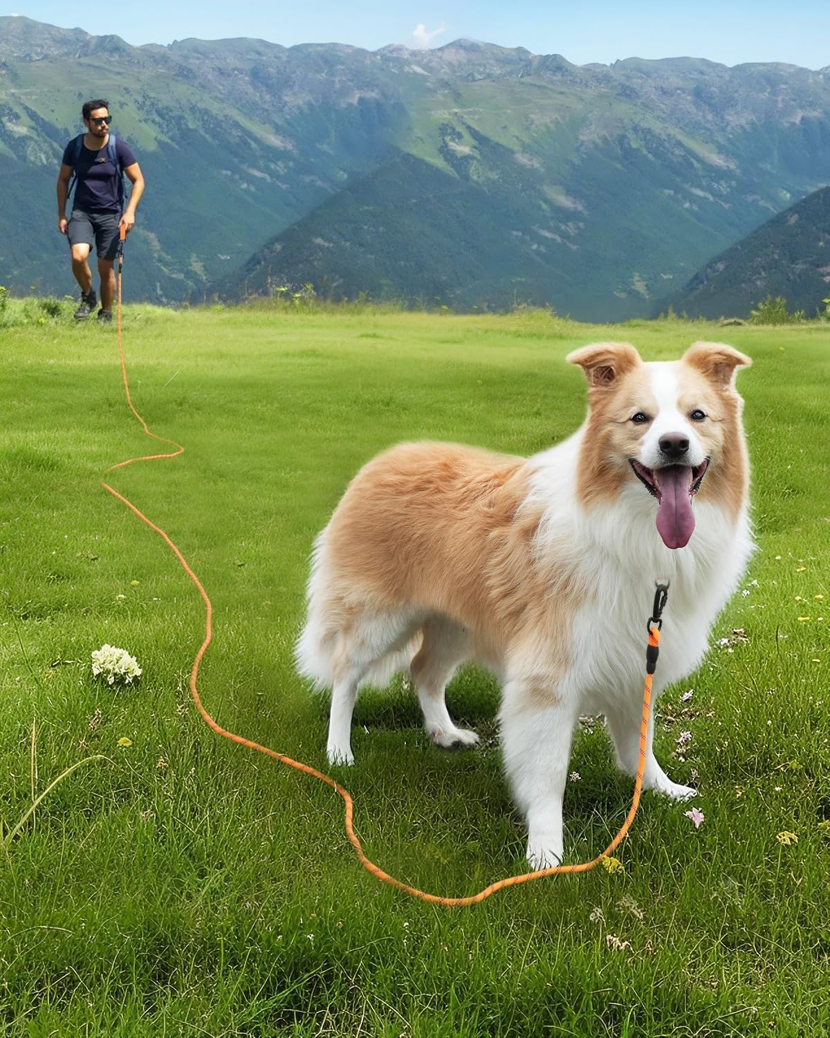 30FT Long Dog Leash – Heavy-Duty Reflective Training Lead with Padded Handle – Orange