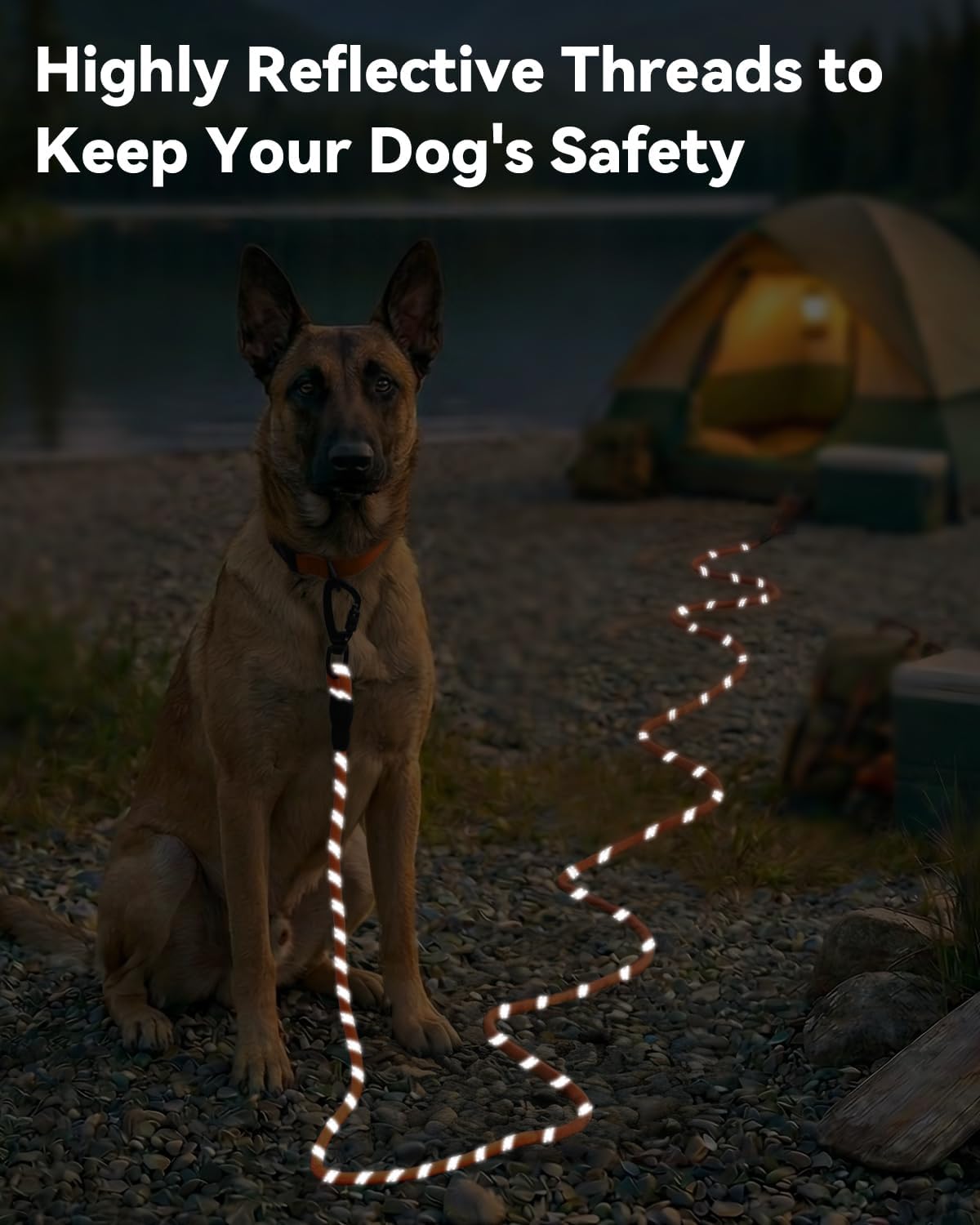 30FT Long Dog Leash – Heavy-Duty Reflective Training Lead with Padded Handle – Orange