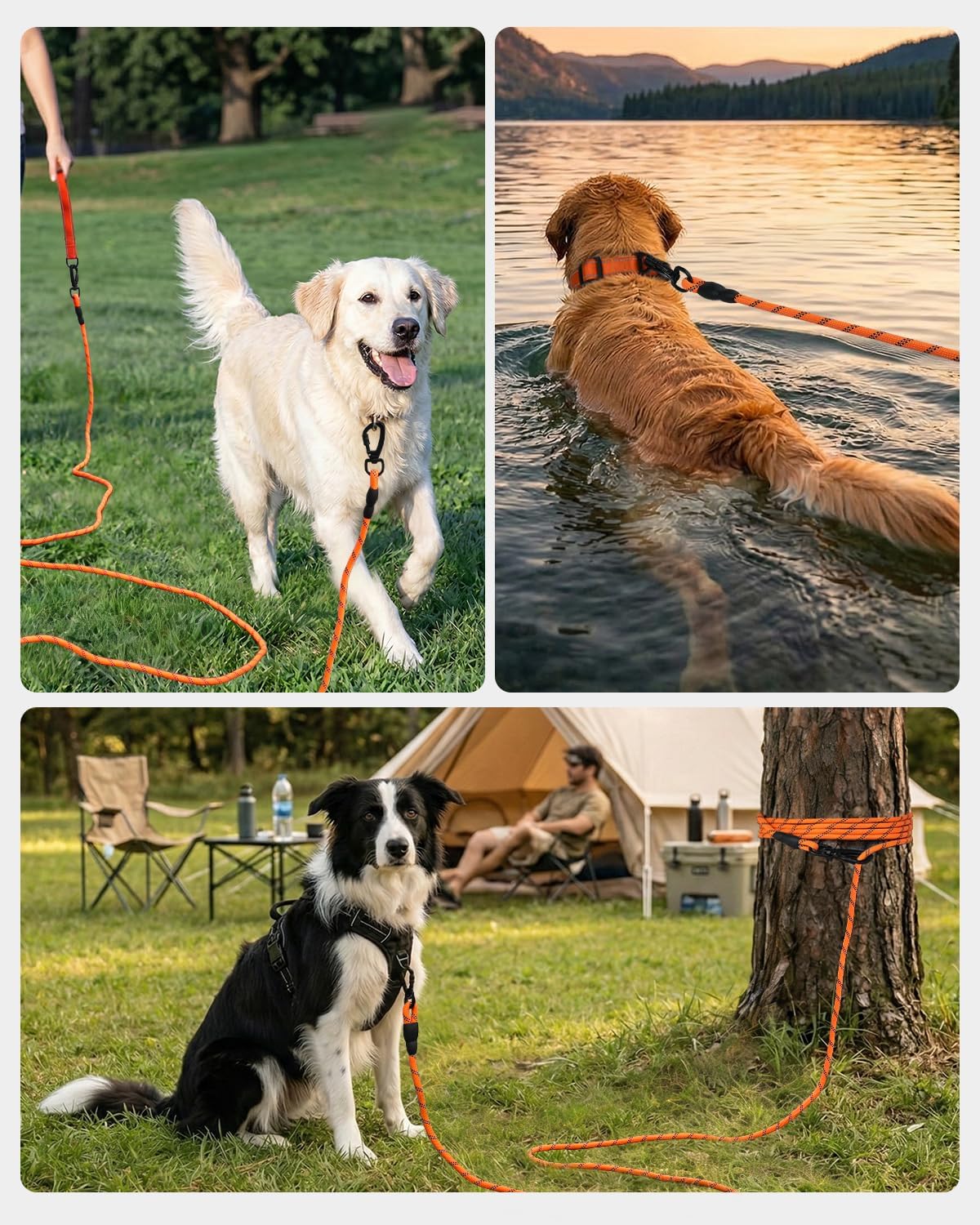30FT Long Dog Leash – Heavy-Duty Reflective Training Lead with Padded Handle – Orange