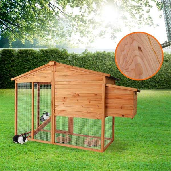 Furtastic Large Chicken Coop & Rabbit Hutch With Ramp
