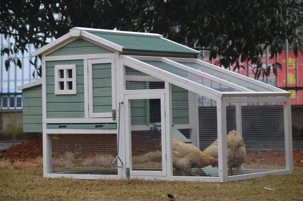 i.Pet Chicken Coop Rabbit Hutch 150cm x 60cm x 93cm Large Chicken Coop House Run Cage Wooden