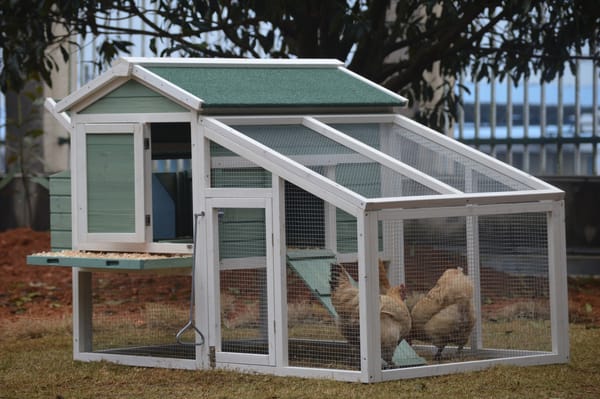 i.Pet Chicken Coop Rabbit Hutch 150cm x 60cm x 93cm Large Chicken Coop House Run Cage Wooden