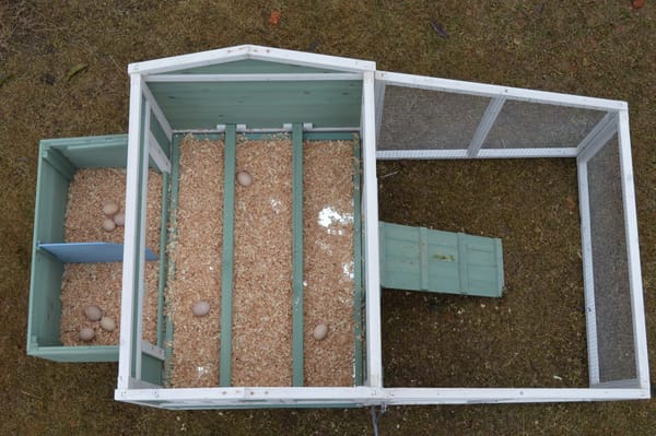 i.Pet Chicken Coop Rabbit Hutch 150cm x 60cm x 93cm Large Chicken Coop House Run Cage Wooden