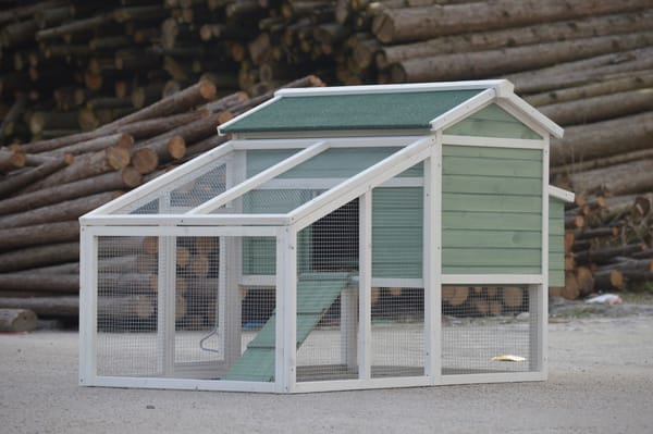 i.Pet Chicken Coop Rabbit Hutch 150cm x 60cm x 93cm Large Chicken Coop House Run Cage Wooden