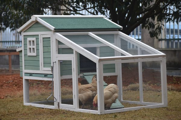 i.Pet Chicken Coop Rabbit Hutch 150cm x 60cm x 93cm Large Chicken Coop House Run Cage Wooden